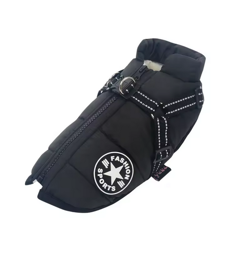 RoyalDog Jacket blue turquoise