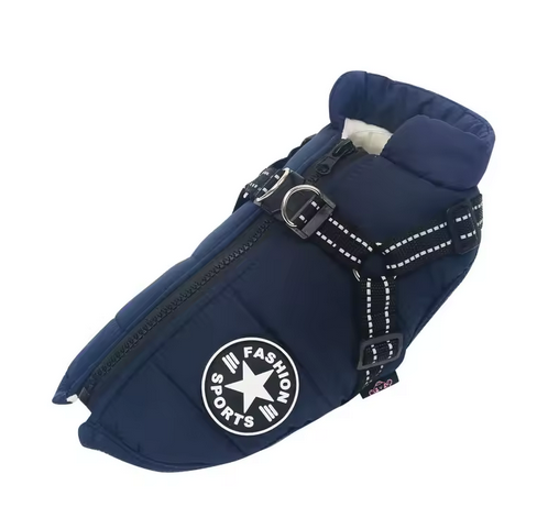 RoyalDog Jacket blue turquoise