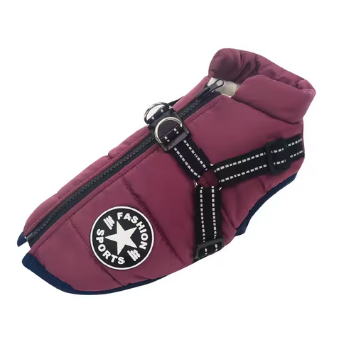 RoyalDog Jacket blue turquoise