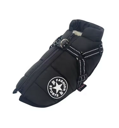 RoyalDog Jacket blue turquoise